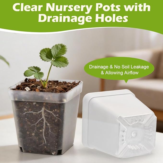 RooTrimmer 2.7 Inch Square Nursery Pots with Humidity Dome, 60 Packs Clear Seedling Pots with Drainage Holes, Reusable Propagation Pots Small Plant Container for Indoor Outdoor Gardening