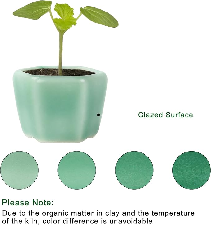 Bonsai Planter 1.8 inch (4.5cm) Mini Succulent Glazed Pots Set of 6 Green