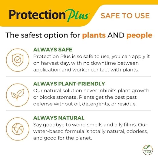 Environmental Plant Management Protection Plus Ready To Use | Oil-Free Contact Insecticide for Plants | Kill Aphids, Whiteflies, Spider Mites & Other Soft-Bodied Pests | Natural | Indoor & Outdoor Use
