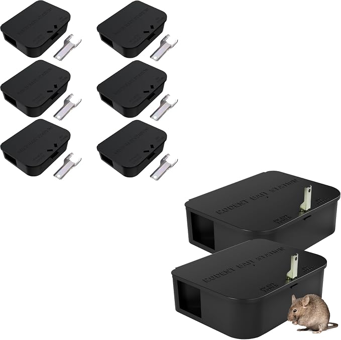 Small & Large Box