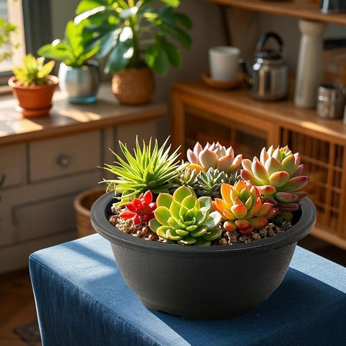 MUZHI 12 Pack Matte Finish Black Round Bonsai Bowl Planter Pot with Drainage, Plastic Garden Low Planter Pots 7.8"