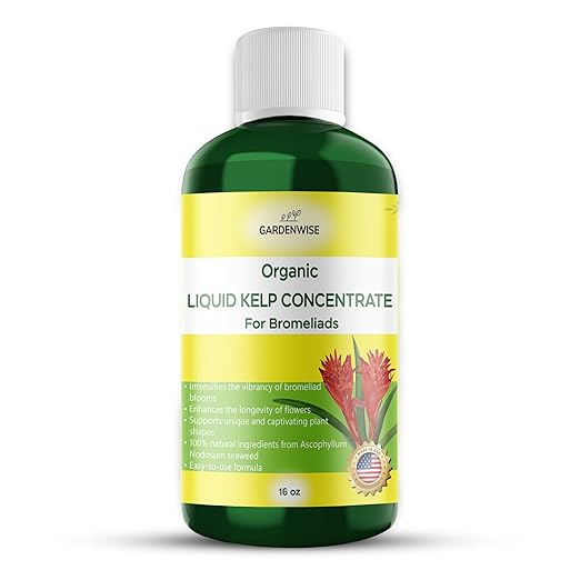 GARDENWISE Organic Premium Kelp Seaweed Fertilizer - Bromeliad Fertilizer - Liquid Plant Food, Bromeliad Potting Mix Enhancer - Ideal for Bromeliad Plant & Live Plant Care (16 OZ)