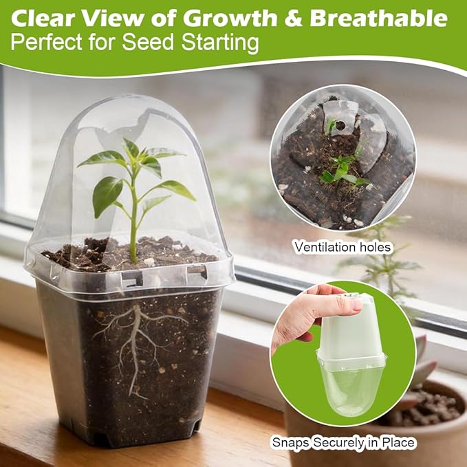 RooTrimmer 2.7 Inch Square Nursery Pots with Humidity Dome, 60 Packs Clear Seedling Pots with Drainage Holes, Reusable Propagation Pots Small Plant Container for Indoor Outdoor Gardening