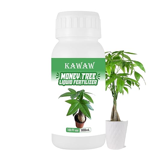 10 oz Organic Money Tree Fertilizer Liquid - Microbial Probiotic Plant Food for Pachira Aquatica & Houseplants - Promotes Root Growth & Green Leaves