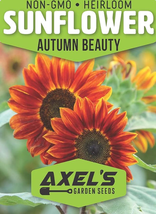 Seed Packets for Planting Autumn Beauty Sunflowers in Home Outdoor Garden - Heirloom Non-GMO Flower Seed Packets