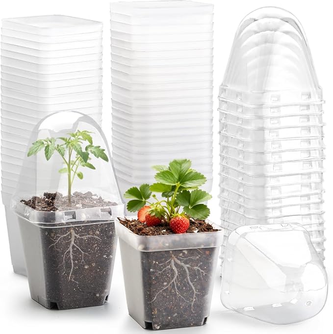 RooTrimmer 2.7 Inch Square Nursery Pots with Humidity Dome, 60 Packs Clear Seedling Pots with Drainage Holes, Reusable Propagation Pots Small Plant Container for Indoor Outdoor Gardening