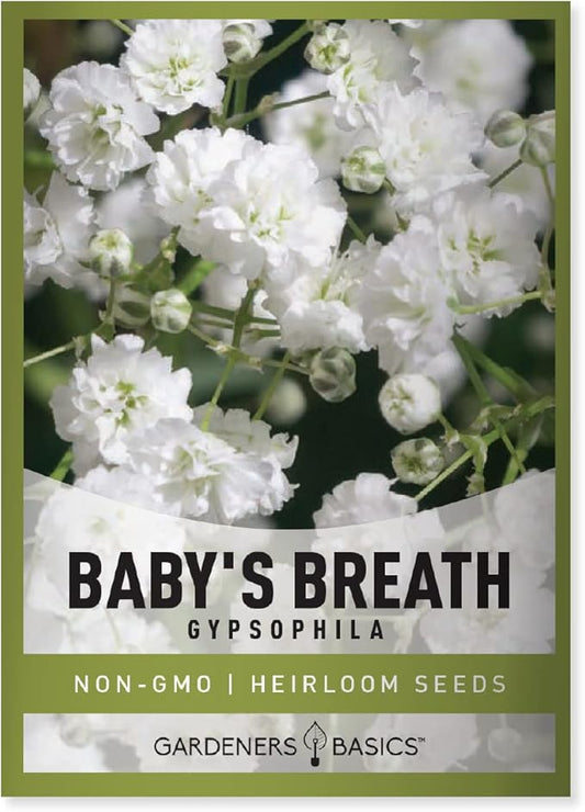 Gardeners Basics, Baby's Breath Seeds for Planting Gpsophila - Beautiful Annual Cut Flower for Flower Arrangements and Beautiful in Flower Beds in Summer Gardens Too