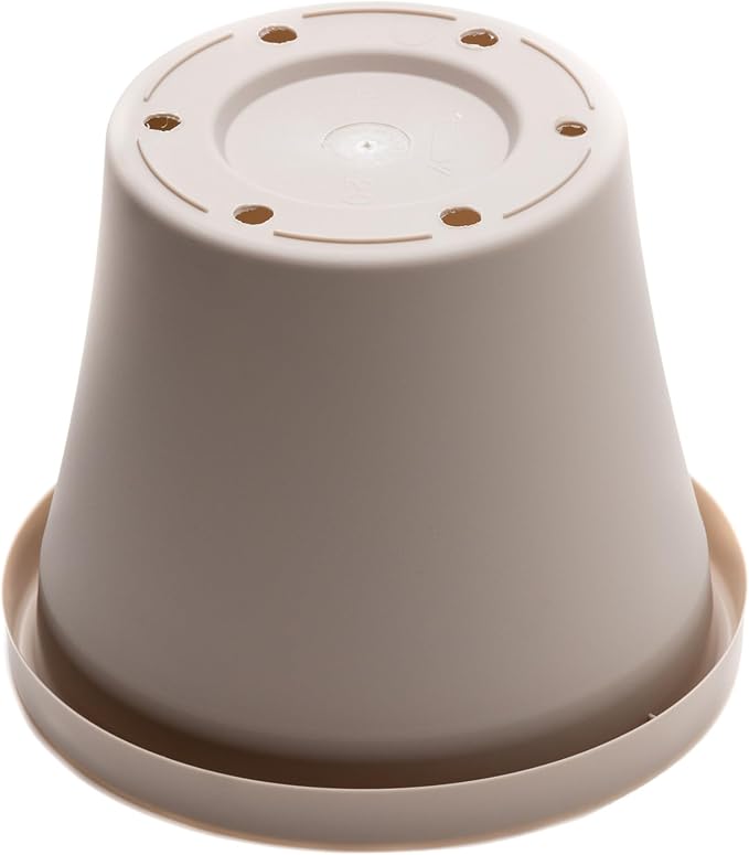 Bloem TR0883 Terra Plastic Pot Planter 8" Pebble Stone, 8"