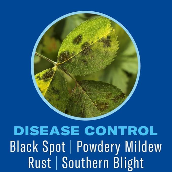 BioAdvanced Shrub Care Protect and Feed Granules - Kills Harmful Listed Insects - Controls Listed Diseases - Insect Control, Disease Control, and Fertilizer - Up to 6 Weeks Protection - 10 lb Bottle