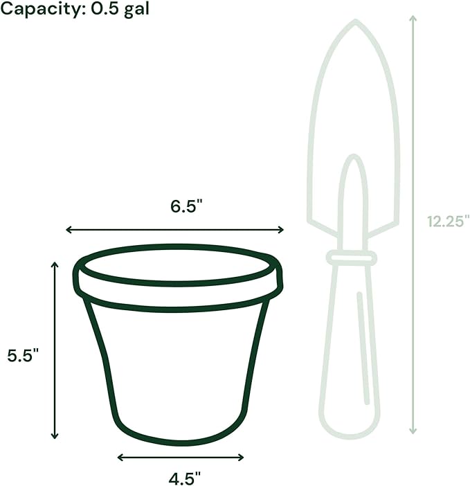 Bloem Terra 6" Diameter Round Charcoal Resin Planter Pot with Drainage Holes for Indoor and Outdoor Gardening