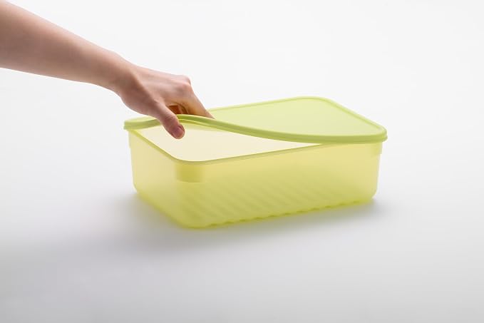 LocknLock Fresh-Block Plastic Food Storage Container | Produce Storage Containers for Fridge | Vegetable & Fruit Storage Containers for Fridge, Storage, Microwave & Dishwasher Safe, 1.5L