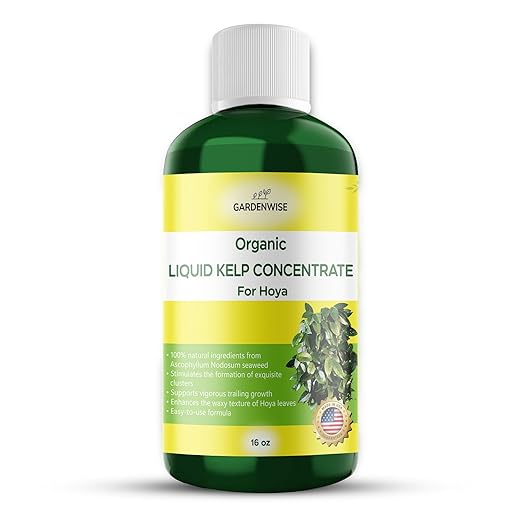 GARDENWISE Organic Premium Kelp Seaweed Fertilizer for Hoya - Liquid Fertilizer - Liquid Plant Food - Nutrient-Rich Soil Enhancer - Natural Plant Food for Hoya Plant (16 OZ)