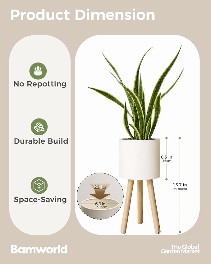 Bamworld Single Plant Holder for Indoor Plants Metal Planter Stand Wooden Leg White Plant Stand Indoor Flower Pot Stand 7in Plant Pot with Stand for Living Room Office Bedroom Decor Modern Home Decor Small