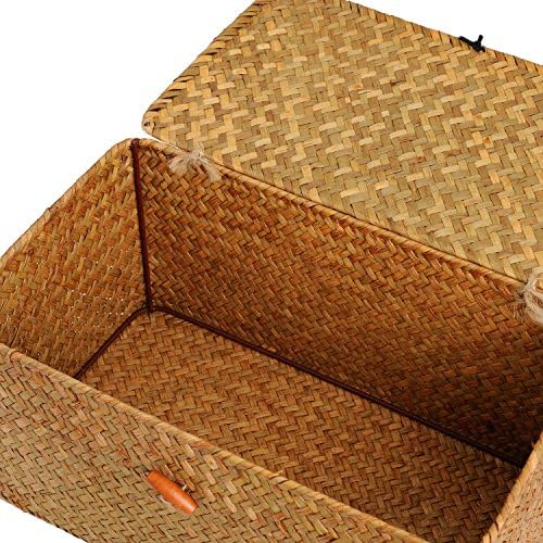 DOKOT Rectangular Handwoven Seagrass Storage Basket with Lid for Shelves and Home Organizer Bin, (M (12"x7"x6"H), Natural)