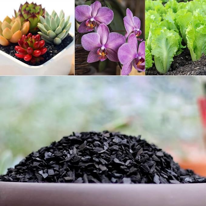 Doter Horticultural Charcoal for Plants 1 qt, All Natural Hardwood Charcoal, Activated Charcoal for Soil Amendment, Orchids, Terrariums, and Gardening