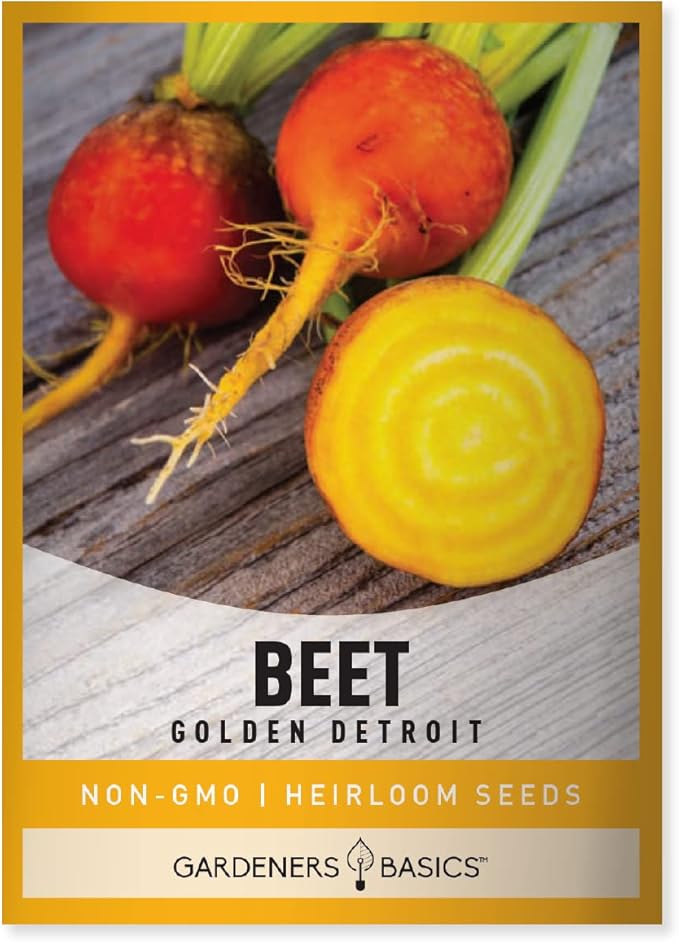 Gardeners Basics, Beet Seeds for Planting Golden Detroit Heirloom Non-GMO Golden Beets Plant Seeds for Home Garden Vegetables Makes a Great Gift for Gardeners
