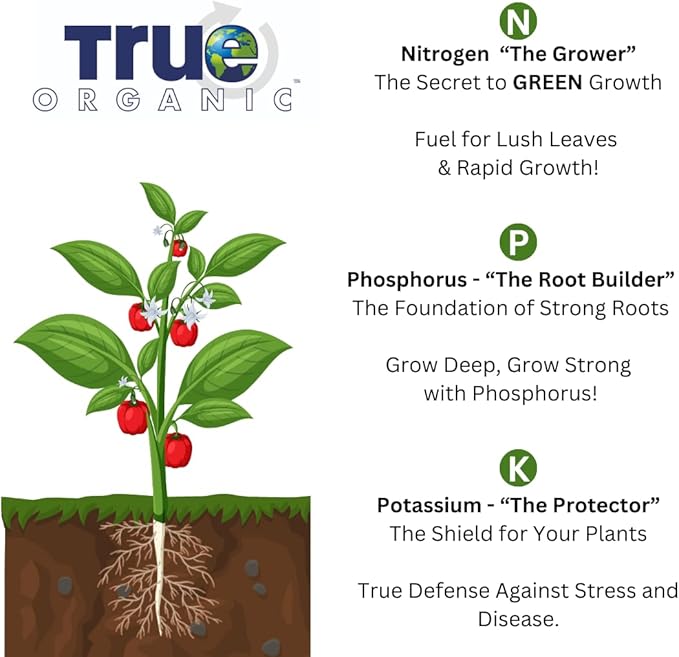 True Organic Raised Bed Food – Organic Fertilizer for Herbs, Flowers, Vegetables & Fruits – 4lb Bag Covers 30 Sq. Ft.
