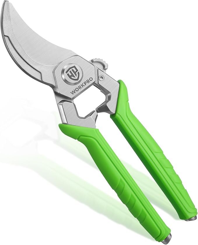 WORKPRO 8.5" Bypass Pruning Shears, Professional Garden Shears with Forged Steel Blades, 3/4" Cut Capacity, Spring-Loaded, Safety Lock, Hand Pruner & Plant Clippers for Trimming, Bonsai, Flowers