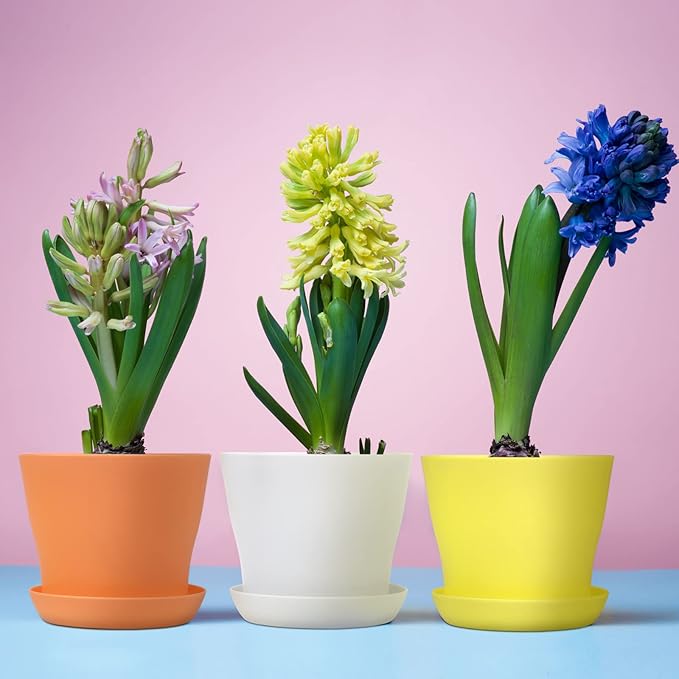 Hahood 20 Pack Plastic Planters 5.5 Inch Plant Flower Pot with Trays, Seedlings Nursery Pots Planter Flower Container Seed Pots for Seedling, Transplanting, Cutting, Assorted 10 Colors