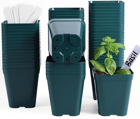 June Fox Plastic Seedling Pots, 60 Pack Square Nursery Pots 4 Inch, Small Plant Pots with Drainage Holes for Seedlings, Succulents, Cuttings (Green)