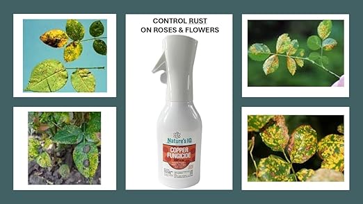 Nature's IQ Copper Fungicide. Innovative Spray Mist Technology. Controls powdery Mildew, Black spot, and Rust! for use on Roses, Flowers, ornamentals, Fruits and Vegetables. Ready-to-use 20 oz.