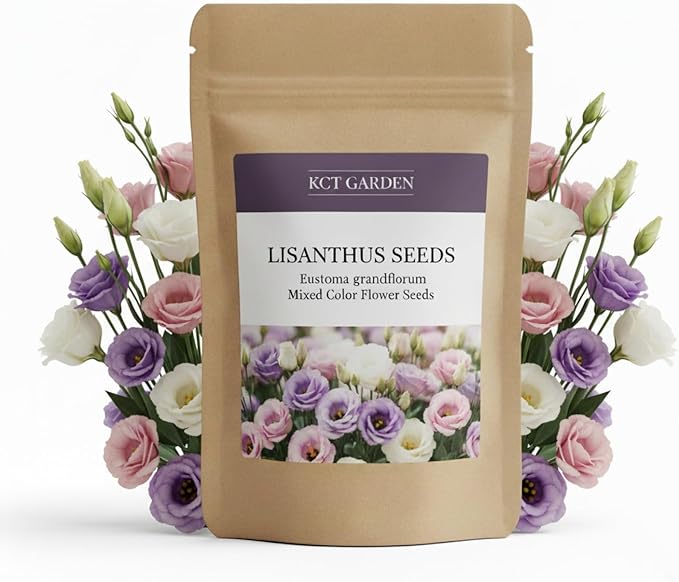 500 Lisianthus Seeds for Planting, Mixed Color Eustoma Flower Seeds, Thornless Rose Seed, Non-GMO Eustoma Grandiflorum Perennial Garden Indoor Blooms