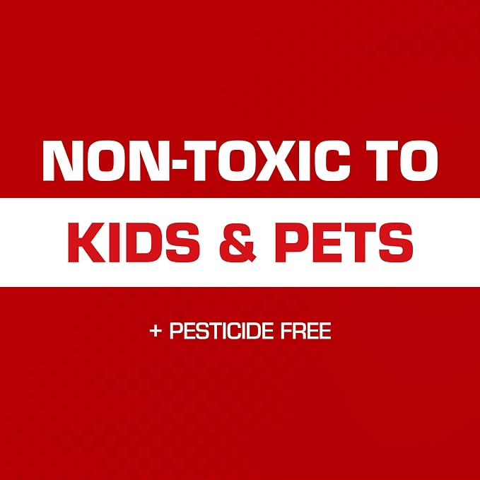 Tomcat Glue Traps Mouse Size with Eugenol for Enhanced Stickiness, 6 Traps | Sticky Pads For Mice, Cockroaches, and Spiders