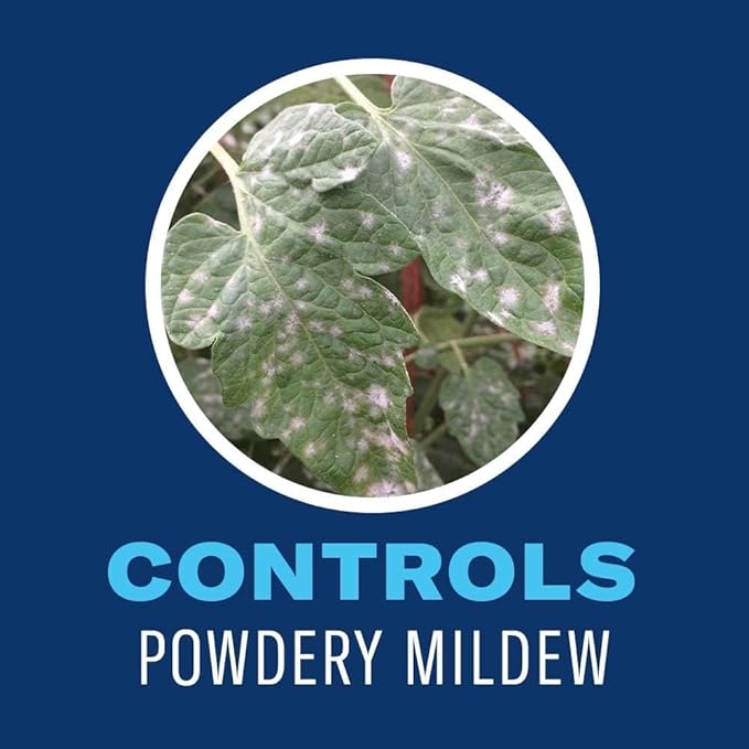 BioAdvanced Organics Brand Houseplant Insect Killer - Ready-to-Use - OMRI Listed Insect Control - Kills Insects and Controls Powdery Mildew - 24 oz Bottle