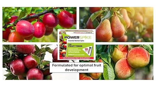 for Fruit Trees. Essential Nutrient Spike formulated to Feed All Types of Fruit Trees (Apple, Peach, Orange, Lemon, Lime, etc.) and Address Common Deficiencies (30 Spikes - 9.6 Lbs)