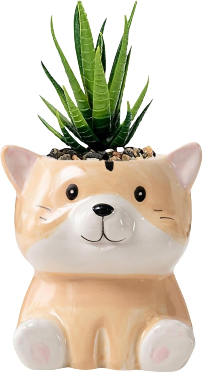 Cute Animal Ceramic Succulent Planters, Small Bonsai Planter, Aloe Cactus Succulent Plant Pots with Drainage Indoor Outdoor Use for Office Home Garden Decoration, Plants Not Included (Groundhog)