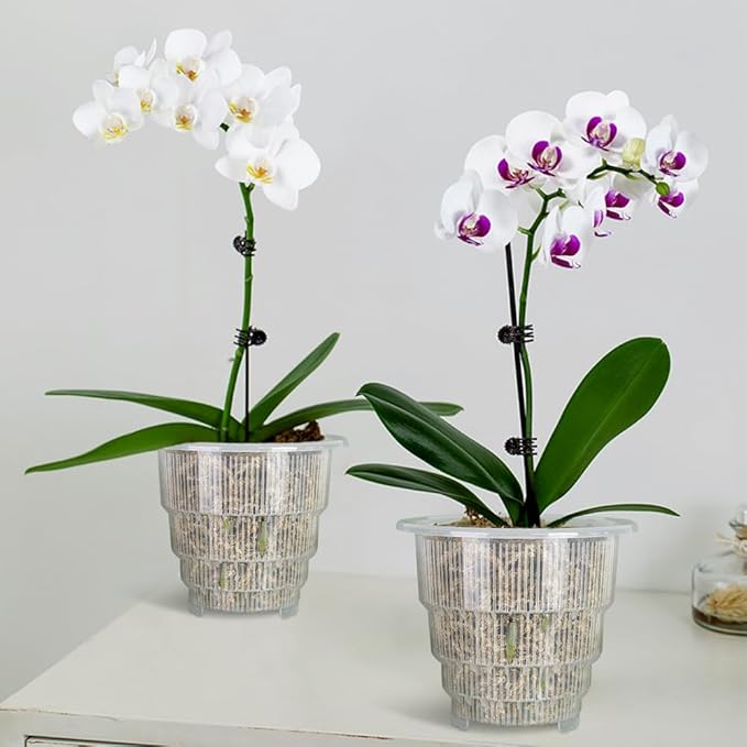5 inch Clear Orchid Pots with Holes and Saucers for Repotting,Pack of 4,Small Plastic Orchid Planters Provide Good Air Circulation,Nursery Pots for Succulents,Herbs,Aloes,Mint