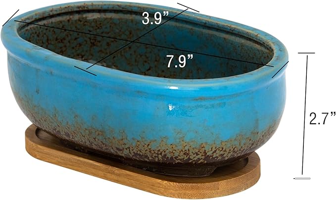 ARTKETTY Succulent Pots, 7.9'' Large Ceramic Pots for Indoor Cactus Plants, Shallow Succulent Planters with Drainage Tray, Oval Bonsai Plant Container Bowl Garden Home Windowsill Decor
