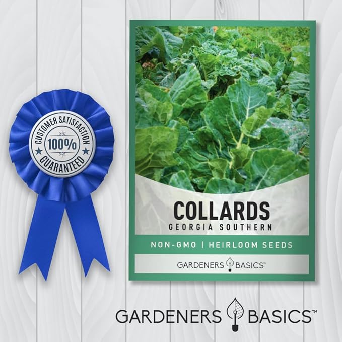 Gardeners Basics, Collard Greens Seeds for Planting - Georgia Southern Non-GMO Vegetable Variety- 1 Gram Seeds Great for Summer, Fall and Winter Gardens