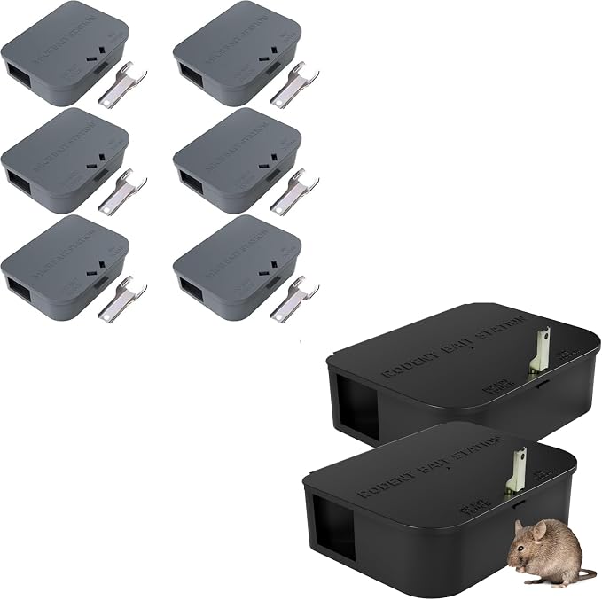 Small & Large Box