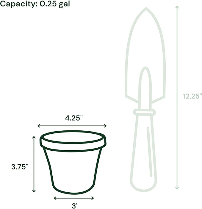 Bloem Terra 4" Diameter Round Charcoal Resin Planter Pot with Pre-Drilled Drainage Holes for Indoor and Outdoor Gardening