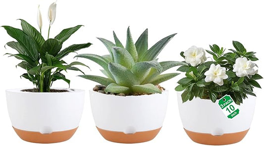 Nooulap 3 Pack Self Watering Planters for Plants Indoor,10 Inch Plant Pot Outdoor Plastic Flower Pot with Drainage and Saucers(White)