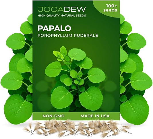100+ Papalo Seeds – Mexican Herb Papaloquelite (Porophyllum ruderale) – Heirloom Garden Herb Seeds for Outdoor Garden, Raised Beds & Containers