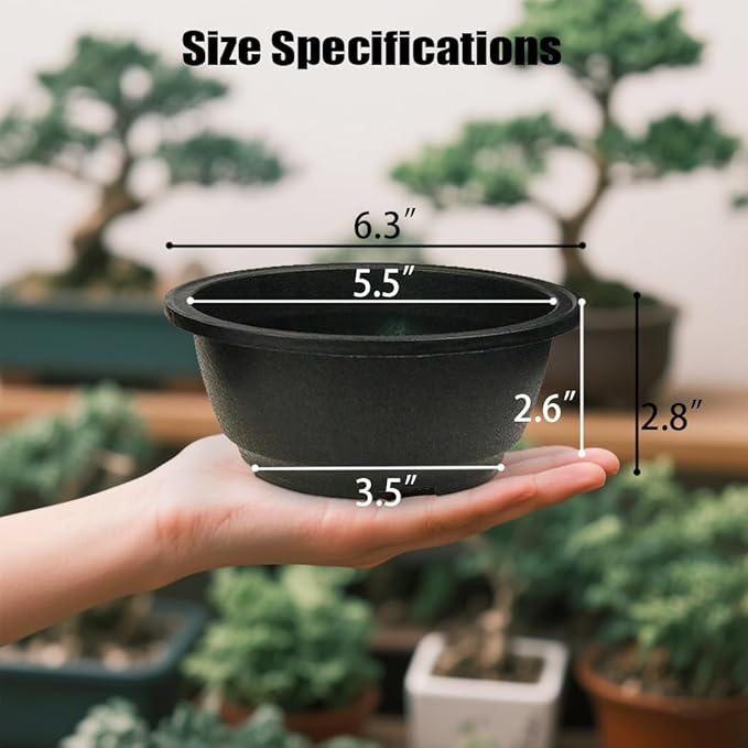 MUZHI 12PACK Matte Black Succulent Bonsai Round Planter Bowl Pot with Drainage, Plastic Cactus Flat Garden Plant Bowl Pots 6.3”