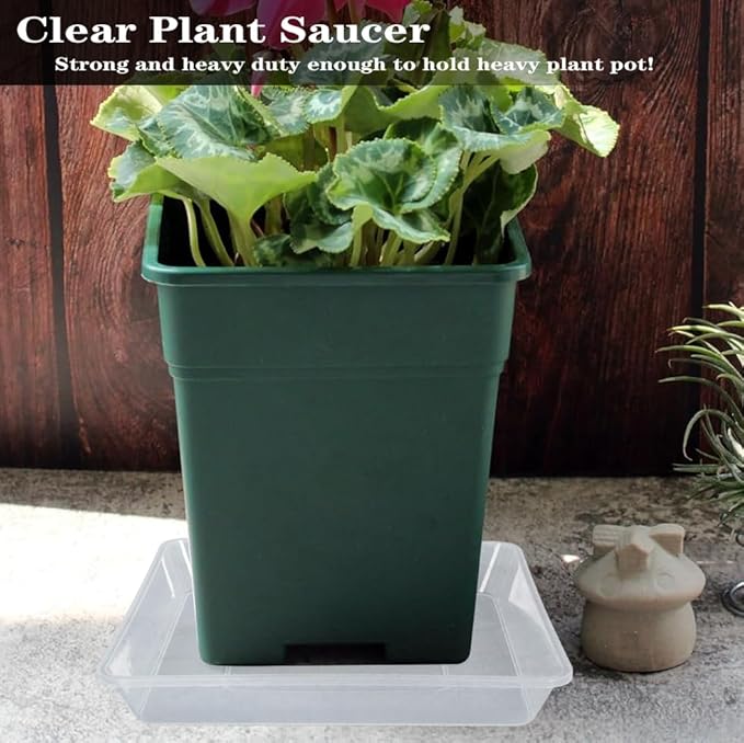 LWALRS Square Plant Saucer 12 Inch 5 Pack, Strong Clear Plastic Flower Plant Pot Saucer, Square Planters for Indoors and Outdoors Plants, Garden Plant Saucers for Pots Plant Trays.