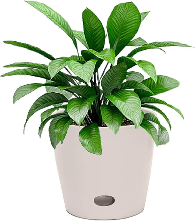 7 Inch Self-Watering Bamboo Planter (Cream) - Round - Bamboo Fiber - No Overwatering or Root Rot