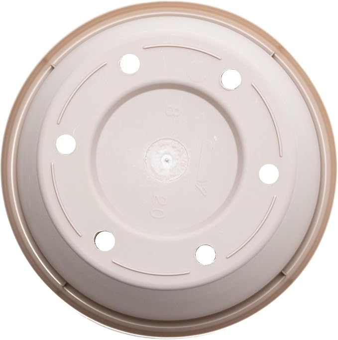 Bloem TR0883 Terra Plastic Pot Planter 8" Pebble Stone, 8"