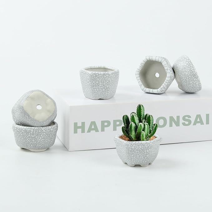 Bonsai Planter 1.8 inch (4.5cm) Mini Succulent Glazed Pots Set of 6 Gray White