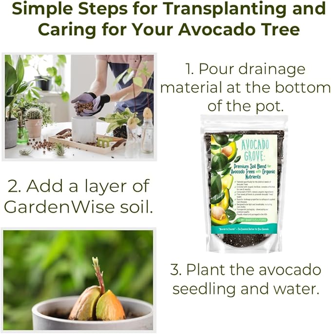GARDENWISE Avocado Tree Soil – Premium Organic Potting Mix for Avocado Trees | Tailored pH & Organic Nutrients | Fast-Draining & Moisture-Retaining | Indoor & Outdoor Use (3 QUARTS)