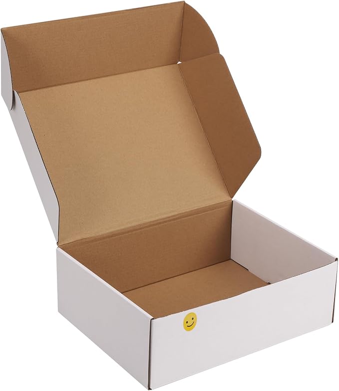 RLAVBL 12x9x4 Shipping Boxes Set of 1, White Corrugated Cardboard Box for Packing, Mailing, Business