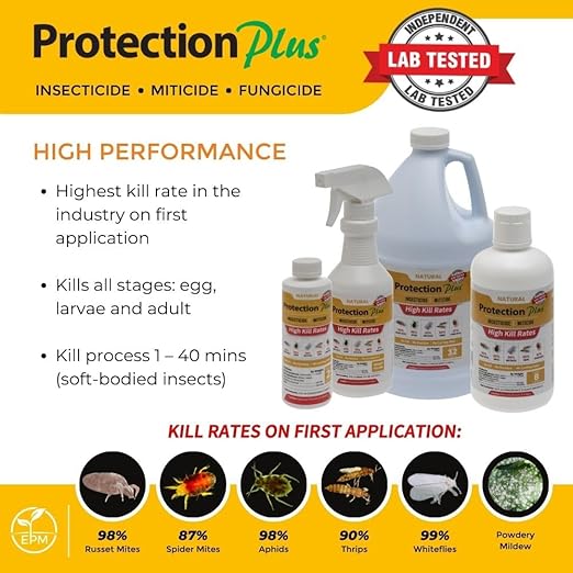 Environmental Plant Management Protection Plus Ready To Use | Oil-Free Contact Insecticide for Plants | Kill Aphids, Whiteflies, Spider Mites & Other Soft-Bodied Pests | Natural | Indoor & Outdoor Use