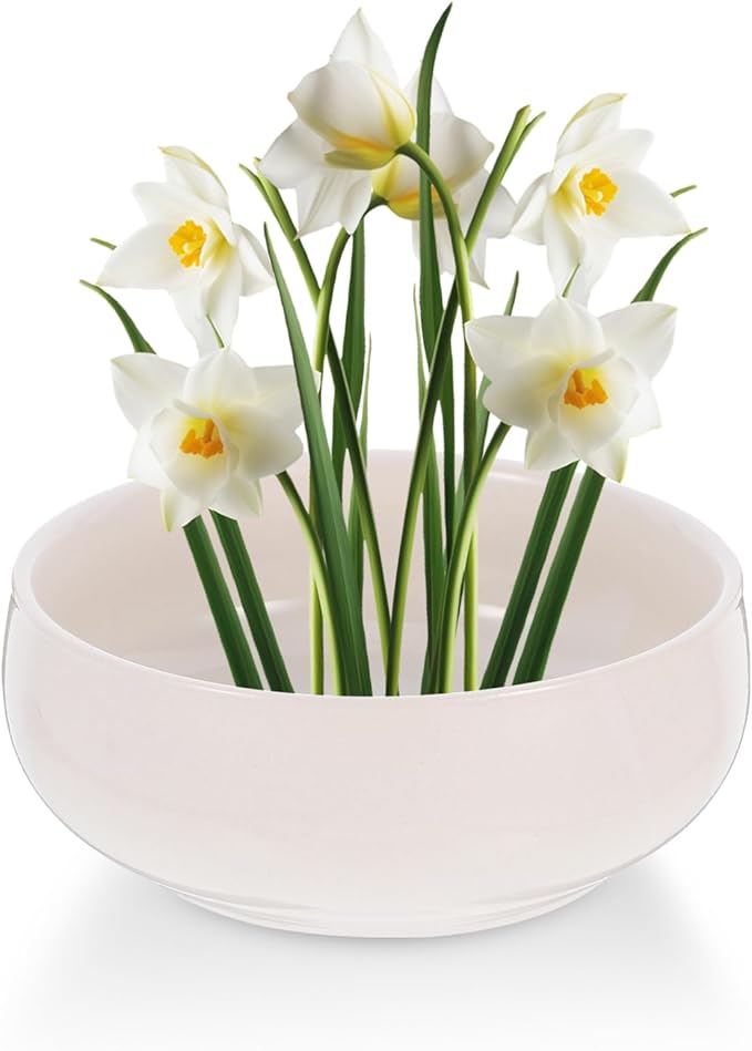 Toddmomy 2pcs Ceramic Hydroponic Lotus Bowl Planter for Water Lilies Narcissus and Decorative Water Plant Pot for Indoor Gardening Porcelain Design
