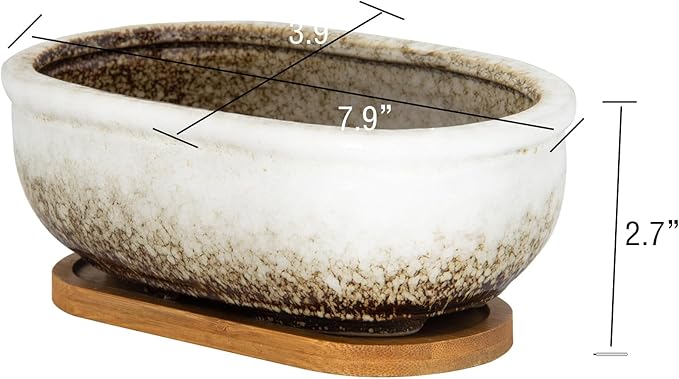 ARTKETTY Succulent Pots, 7.9'' Large Ceramic Pots for Indoor Cactus Plants, Shallow Succulent Planters with Drainage Tray, Oval Bonsai Plant Container Bowl Garden Home Windowsill Decor