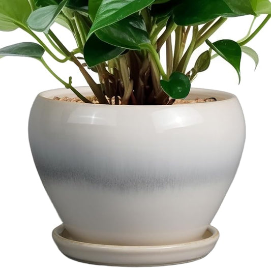 Ceramicfor Planter Pot 6 Inch - Ceramic Plant Pot with Drainage Hole and Saucer, Round Glaze Succulent Pot for Plants, White