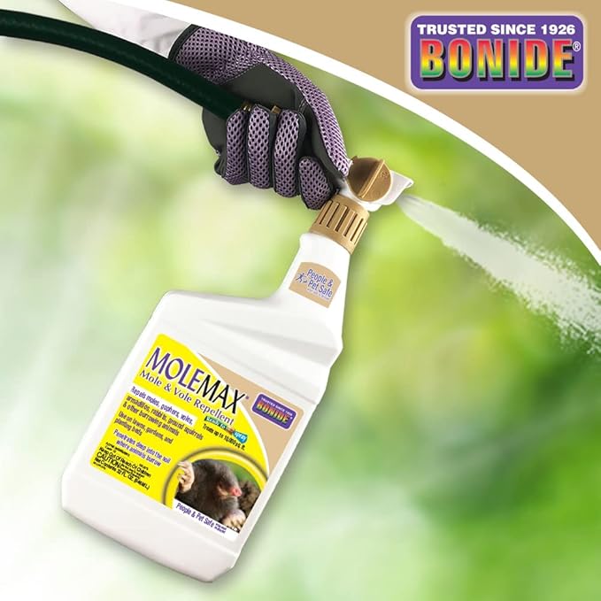 Bonide MOLEMAX Mole & Vole Repellent, 32 oz Ready-to-Spray Animal Repellent for Gardens, People and Pet Safe (Pack of 2)