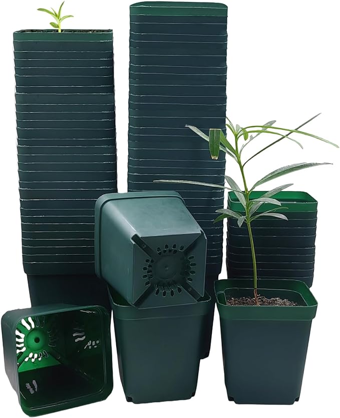RooTrimmer Square Nursery Seedling Pot 3.5 Inches 90 Pcs, Small Nursery Pot Plastic Thick and Sturdy Seed Start Germination Pot for Plant Propagation and Seeding(Green,3.54 Inches, 90Pcs)